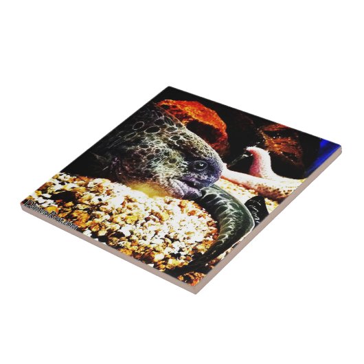 ウナギ タイル (側面)