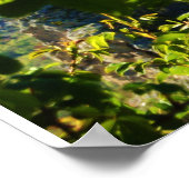 ウナコルニース、ウナトーレ。 ポスター (角)