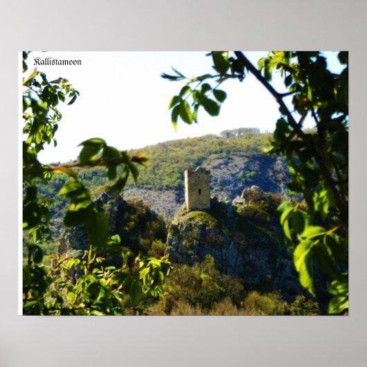 ウナコルニース、ウナトーレ。 ポスター (正面)