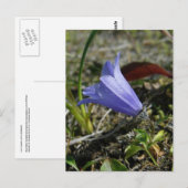 ウナスカ島、マウンテンハレベル ポストカード (正面/裏面)