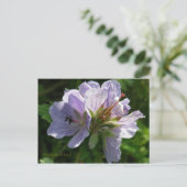 ウナスカ島、Cranesbill Geraniums ポストカード (スタンド正面)