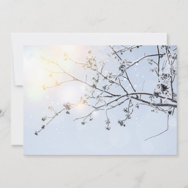 ウナメの冬の不思議の国 (正面)