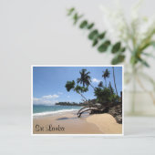 ウナワトゥナビーチ木 ポストカード (スタンド正面)