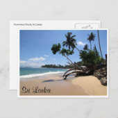 ウナワトゥナビーチ木 ポストカード (正面/裏面)