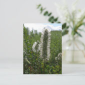 ウナ素晴らしラスカバーネット ポストカード (スタンド正面)