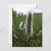 ウナ素晴らしラスカバーネット ポストカード (正面/裏面)