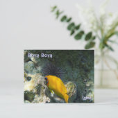 ウニと熱帯魚 ポストカード (スタンド正面)