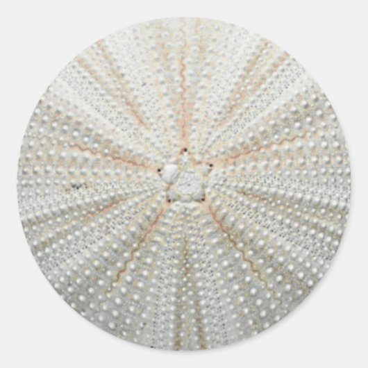 ウニのシール ラウンドシール (正面)