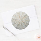 ウニのシール ラウンドシール (封筒)