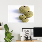 ウニのポスター ポスター (ホームオフィス)