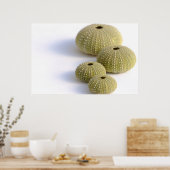 ウニのポスター ポスター (キッチン)