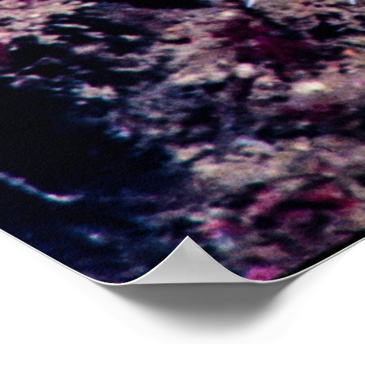 ウニの火 ポスター (角)