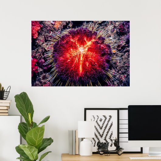 ウニの火 ポスター (ホームオフィス)