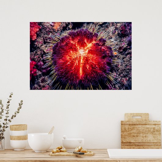 ウニの火 ポスター (キッチン)