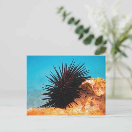 ウニ​​ニ ポストカード (スタンド正面)