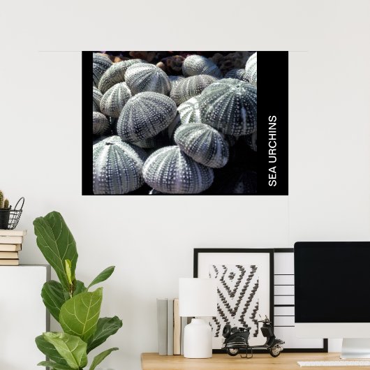 ウニ ポスター (ホームオフィス)