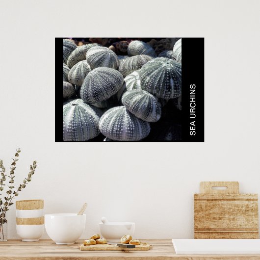 ウニ ポスター (キッチン)
