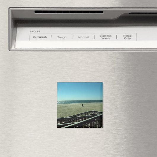 ウニ マグネット (インサイチュ (食洗機))