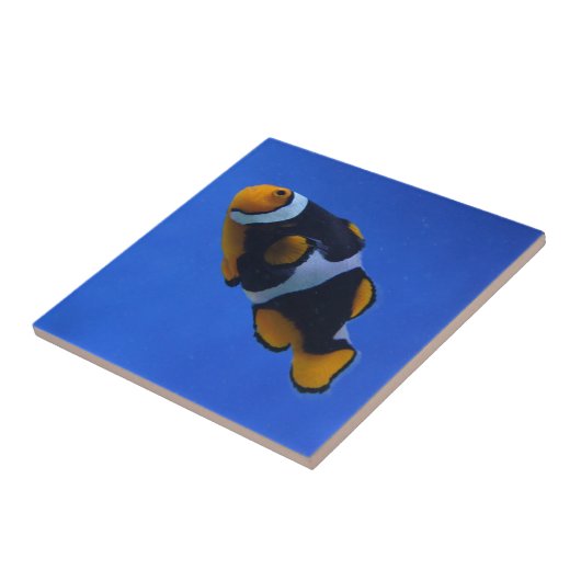 ウノコ タイル (側面)