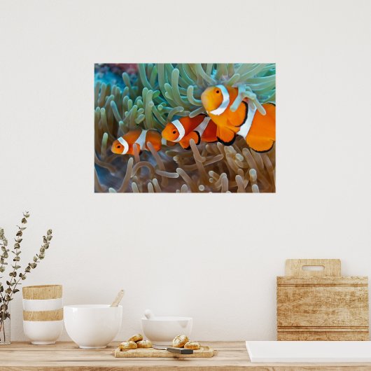 ウノコ ポスター (キッチン)