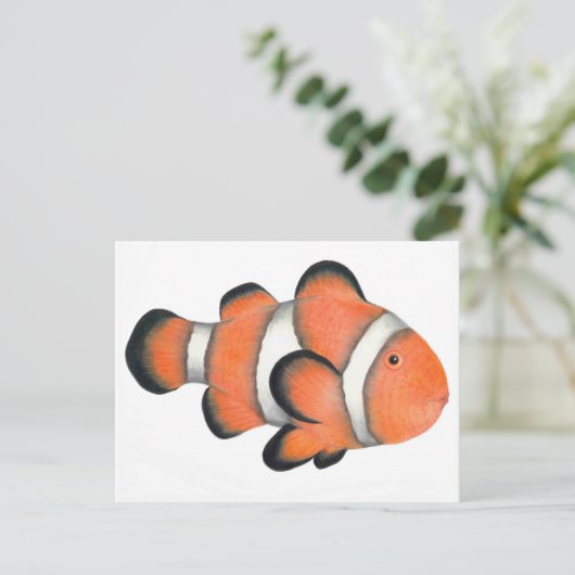 ウノコ ポストカード (スタンド正面)