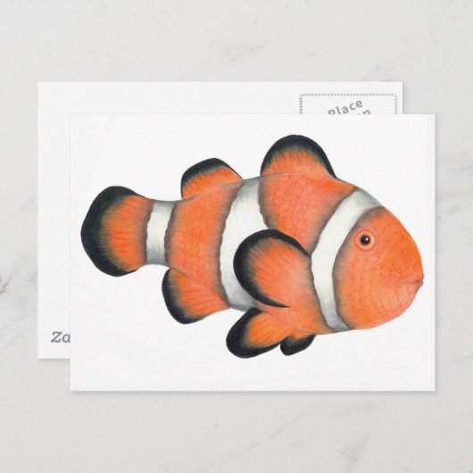 ウノコ ポストカード (正面/裏面)