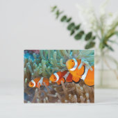 ウノコ ポストカード (スタンド正面)