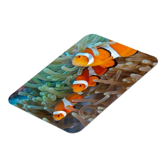 ウノコ マグネット (左側)