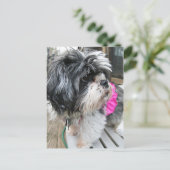 ウフ！ ポストカード (スタンド正面)