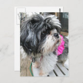 ウフ！ ポストカード (正面/裏面)