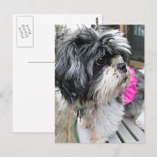 ウフ！ ポストカード (正面/裏面)