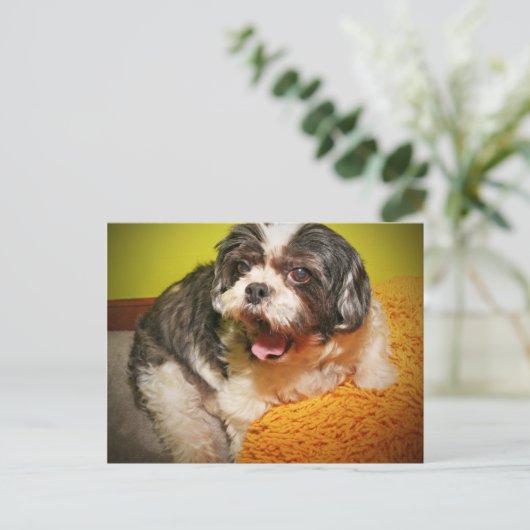 ウフ！ ポストカード (スタンド正面)