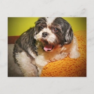 ウフ！ ポストカード