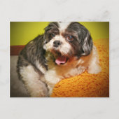 ウフ！ ポストカード (正面)