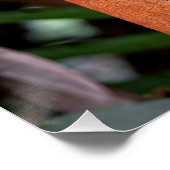 ウブドトラベルバリトラベル ポスター (コーナー)