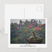 ウブドバリインドネシアホリディトラベルポストカード シーズンポストカード (正面/裏面)