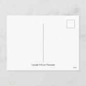 ウブドバリインドネシアホリディトラベルポストカード シーズンポストカード (裏面)