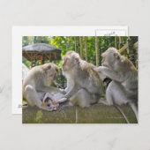 ウブド食べのマカのマカク ポストカード (正面/裏面)