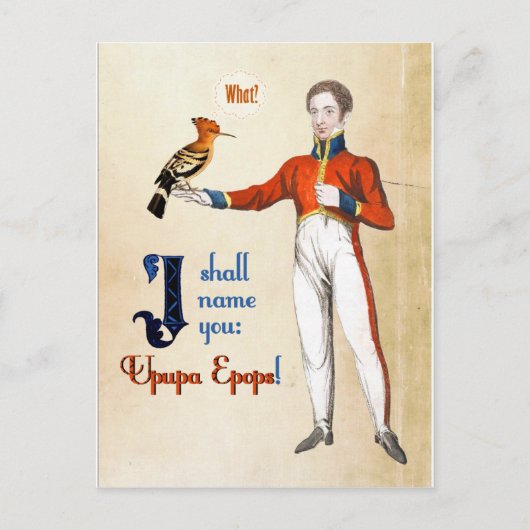 ウプパエポプス ポストカード (正面)