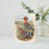 ウプパニグリペニス(インディアンフーポー) ポストカード (スタンド正面)