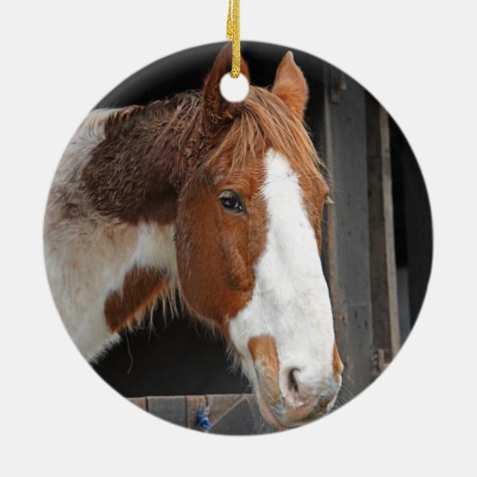 ウマが大好きな女の子だけの農場でジンジャーホース セラミックオーナメント (裏面)