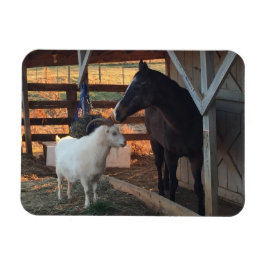 ウマとヤギを農場の磁石に マグネット