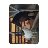 ウマとヤギを農場の磁石に マグネット (縦)