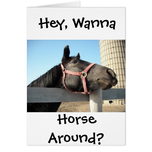 ウマのまわりにー (正面)