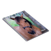 ウマのスパイラルノート ノートブック (右側)