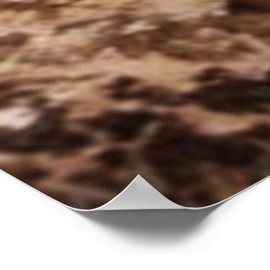 ウマの水の色 ポスター (角)