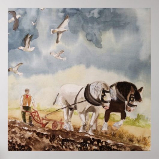 ウマの水の色 ポスター (正面)