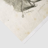 ウマエフエマデコペヴィンテージフランスのティッシュPa 薄葉紙 (詳細)