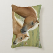 ウマエレガントーズ装飾用クッション各側違う アクセントクッション (正面(垂直))