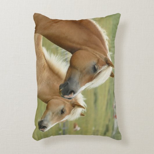 ウマエレガントーズ装飾用クッション各側違う アクセントクッション (正面(垂直))